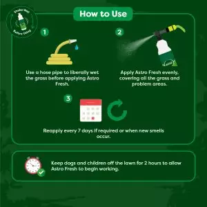 How to use Astro Fresh