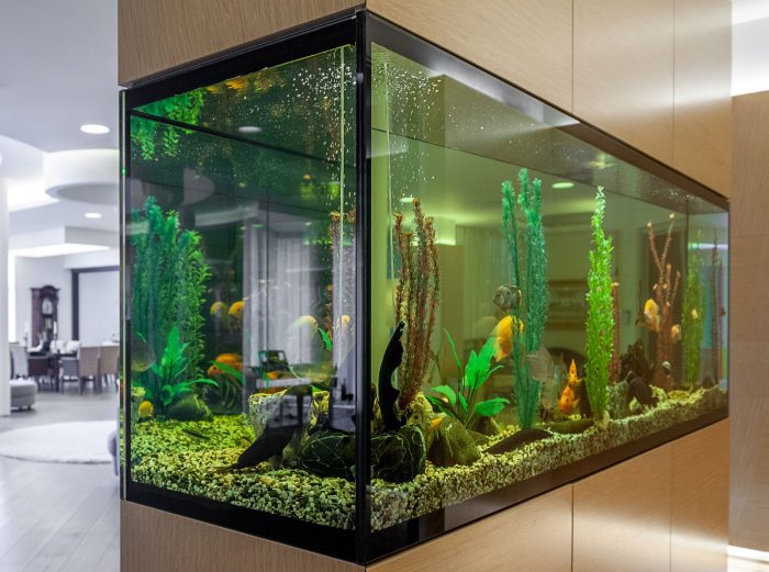 Large aquarium fish tank wall